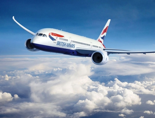 Petition to Change British Airway’s Instrument Baggage Policy